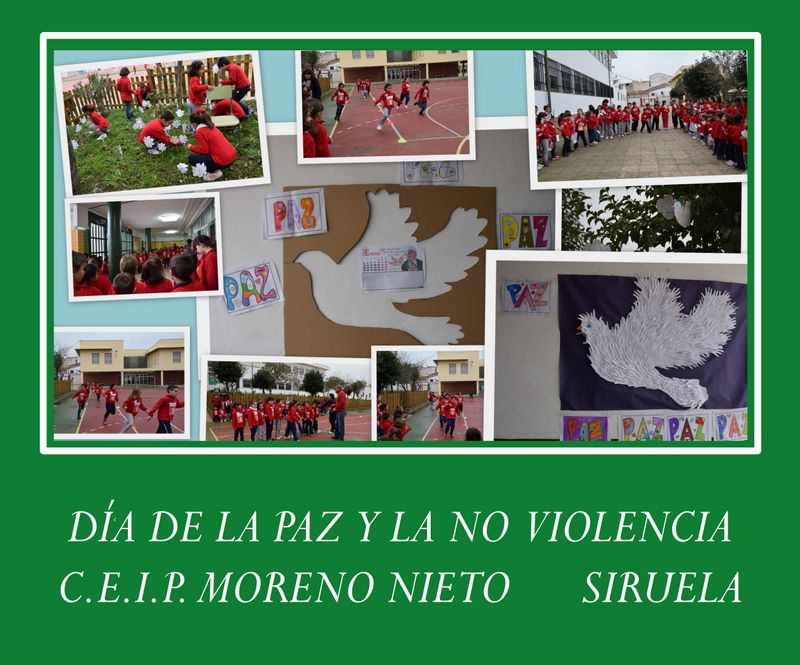 paz16a